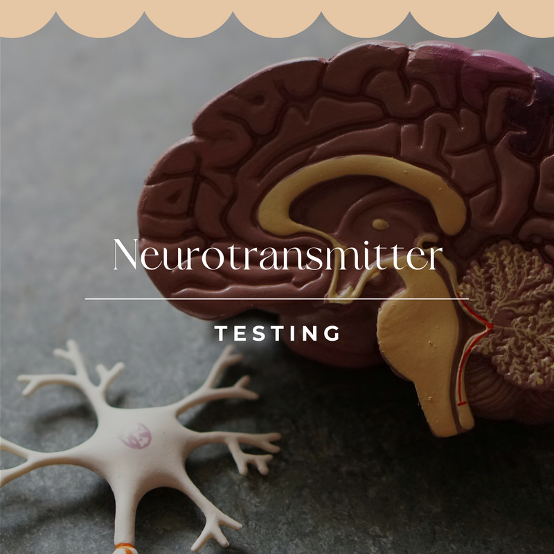 Neurotransmitter Profile Advanced Test