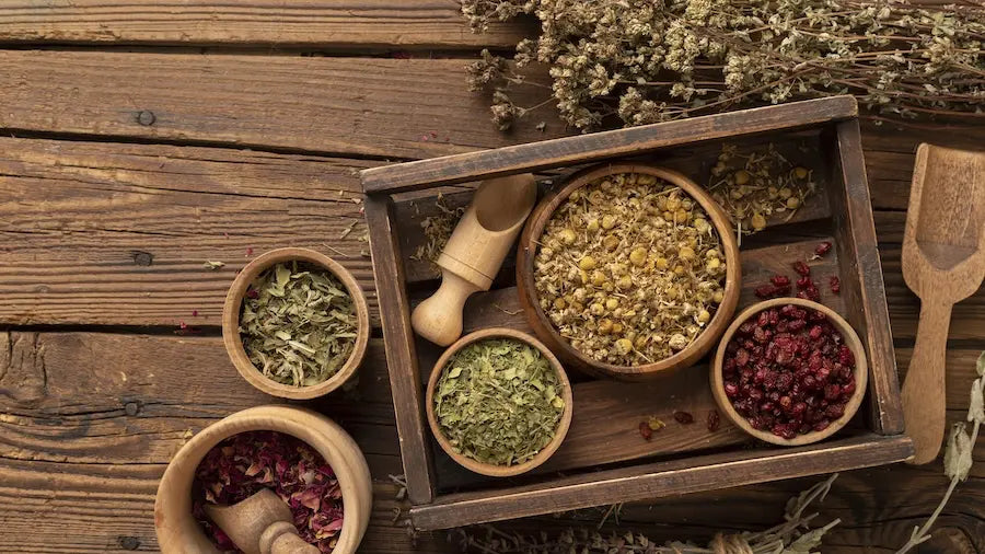 Flat lay of various dried medicinal herbs in wooden bowls, representing the personalized botanical support used for gut health and detoxification at Lifestyle Natural Health.